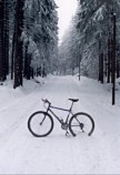  Zima na rowerze