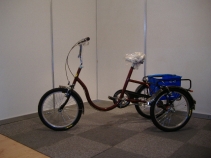 Rower trójkołowy Agat