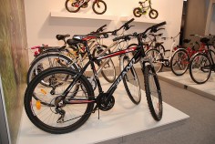 Kielce Bike-Expo 2012 - relacja - Grand